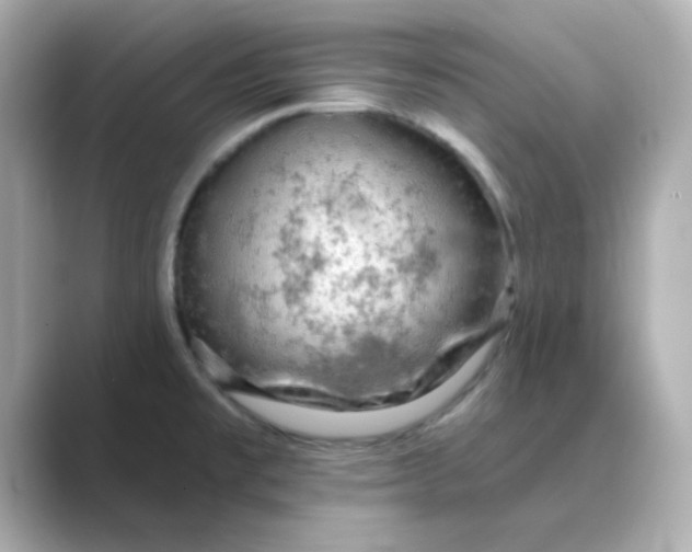 X0000088671477200706211842