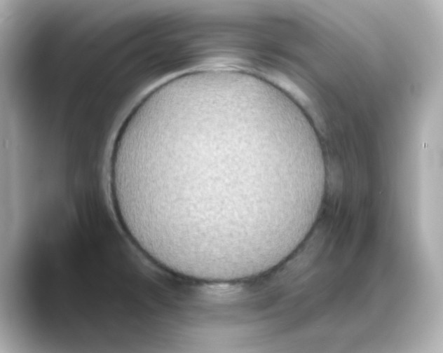 X0000088671478200706211842