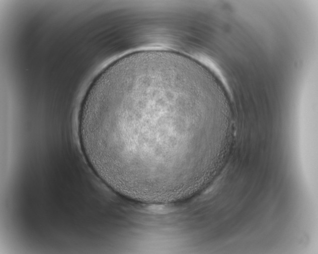 X0000088671480200706211842