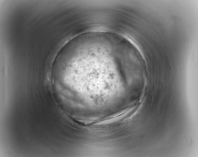 X0000088671481200706211842