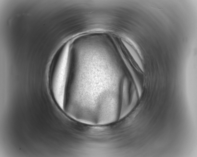 X0000088671483200706211842
