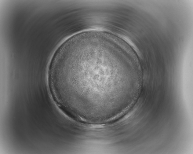 X0000088671484200706211842