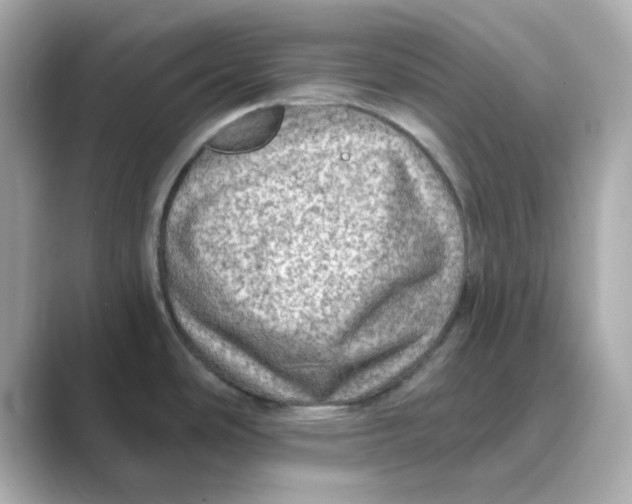 X0000088671486200706211842