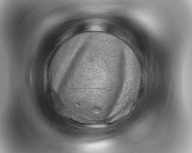 X0000088671487200706211842