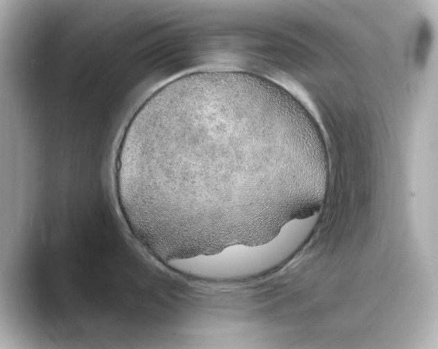 X0000088671488200706211842