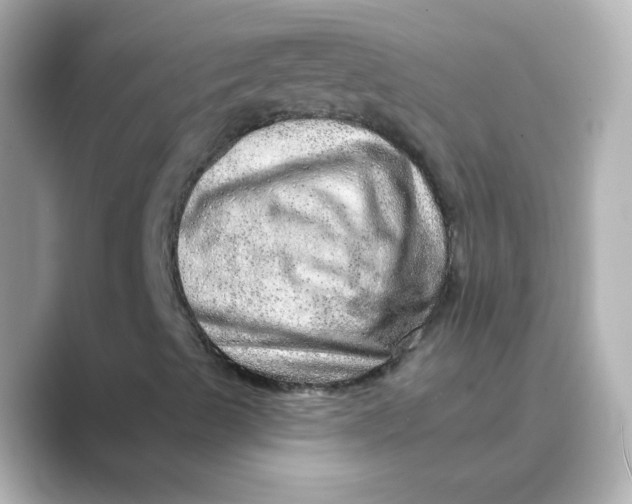X0000088671489200706211841