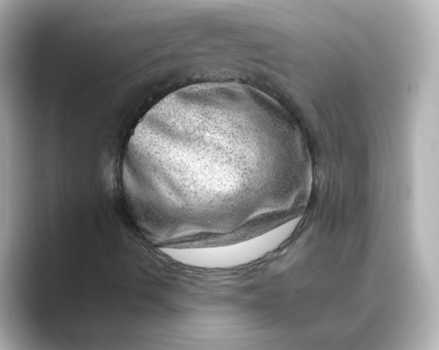 X0000088671490200706211841