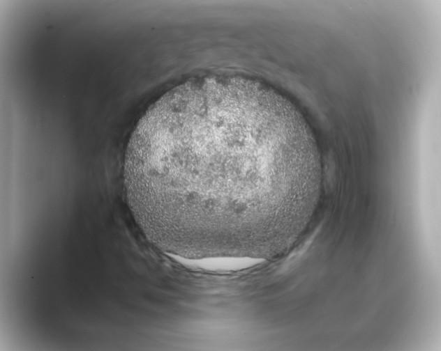X0000088671494200706211841