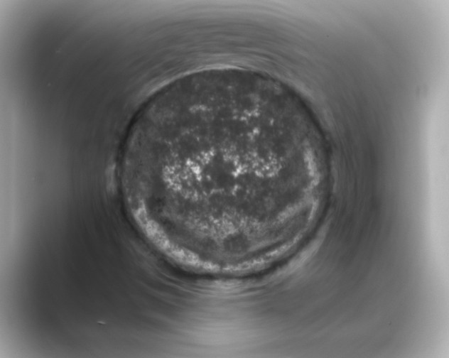 X0000088671497200706211841