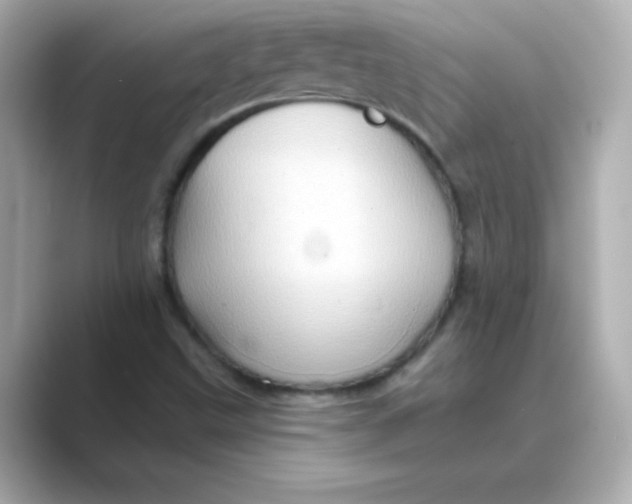 X0000088671499200706211841