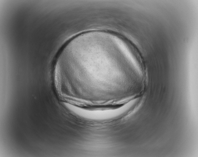 X0000088671501200706211841