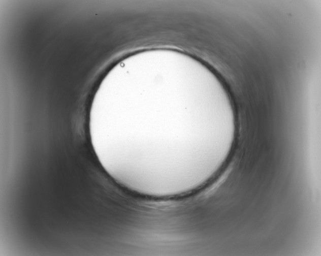 X0000088671502200706211841
