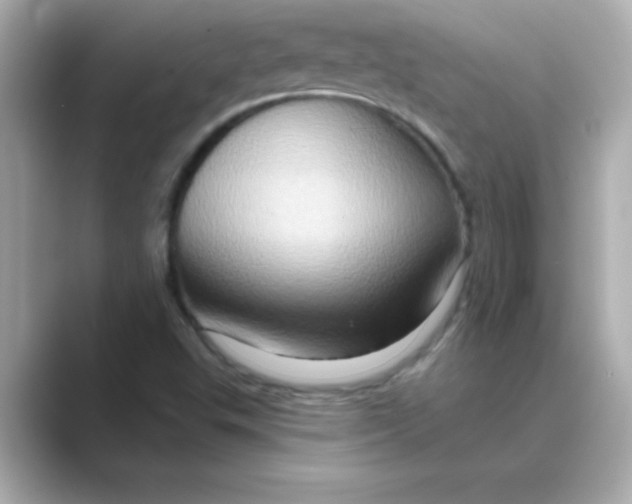 X0000088671503200706211841