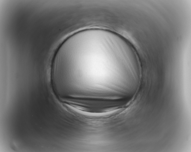 X0000088671504200706211841