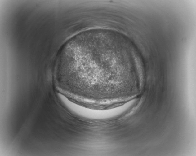 X0000088671505200706211841