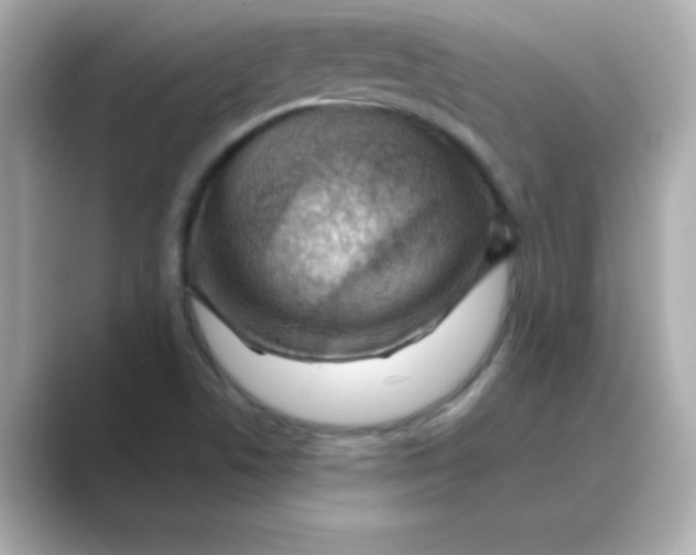 X0000088671506200706211841