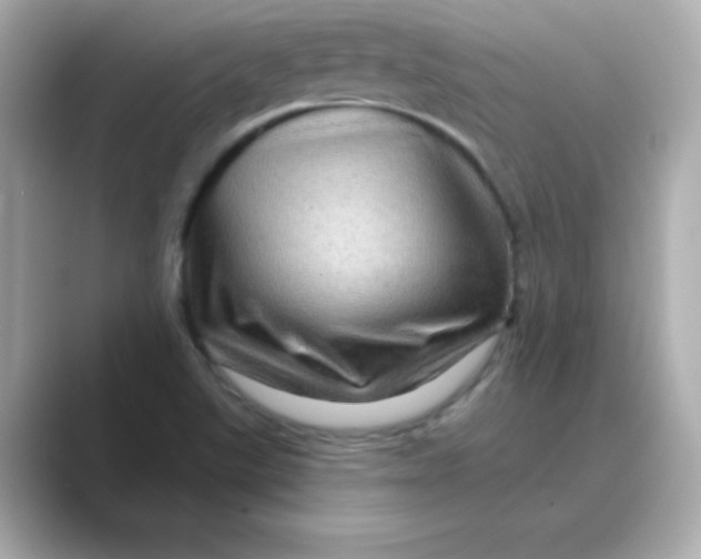 X0000088671507200706211841