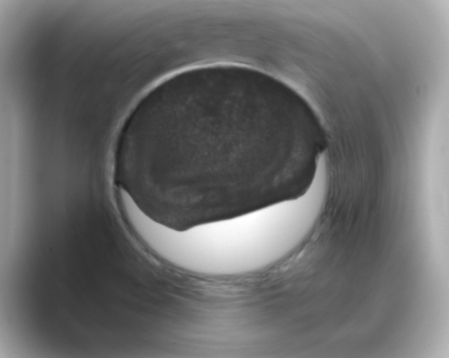 X0000088671508200706211841