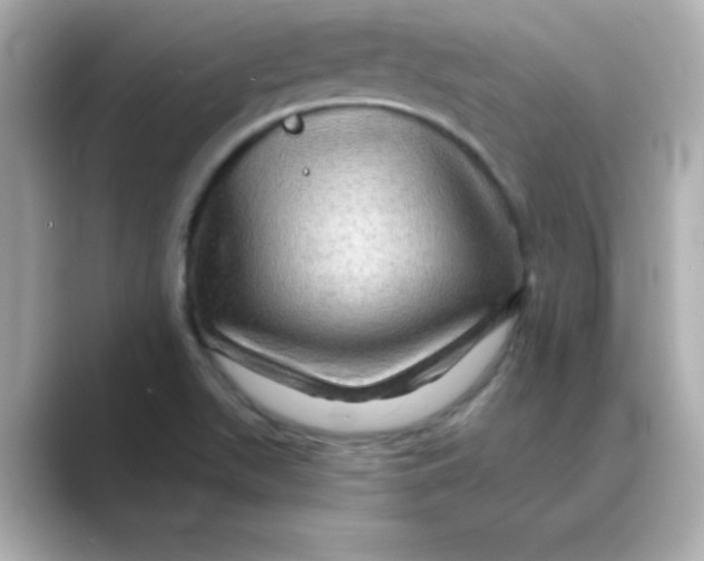 X0000088671511200706211841