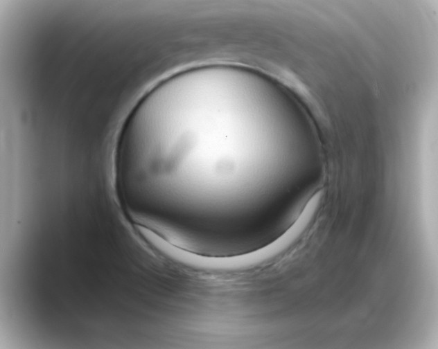 X0000088671512200706211841