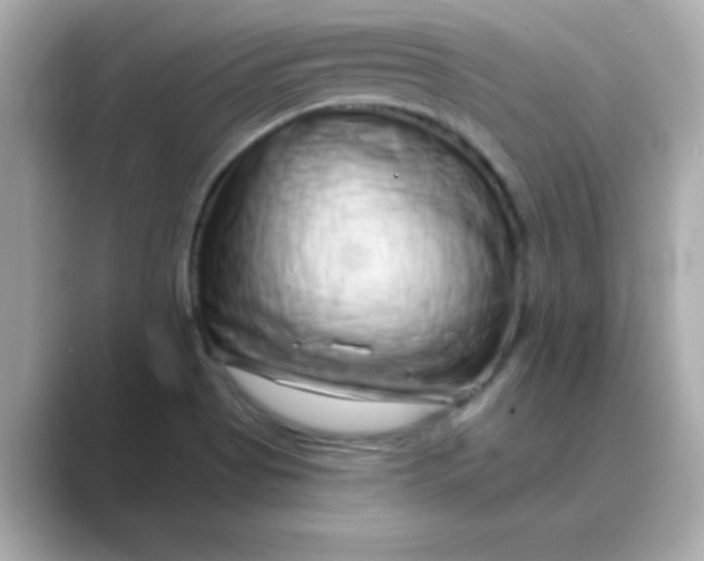 X0000088671513200706211842
