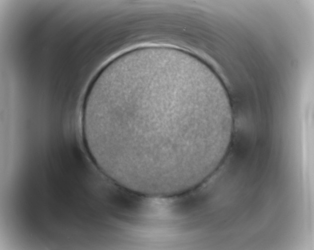 X0000088671514200706211842