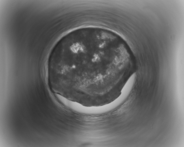 X0000088671515200706211842