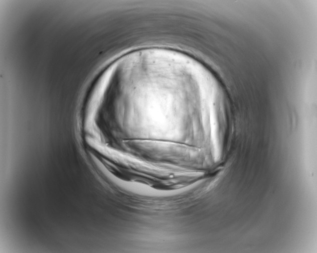 X0000088671517200706211842