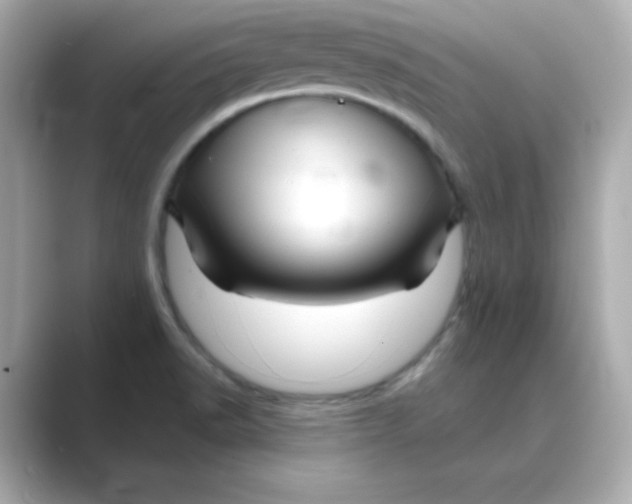 X0000088671518200706211842