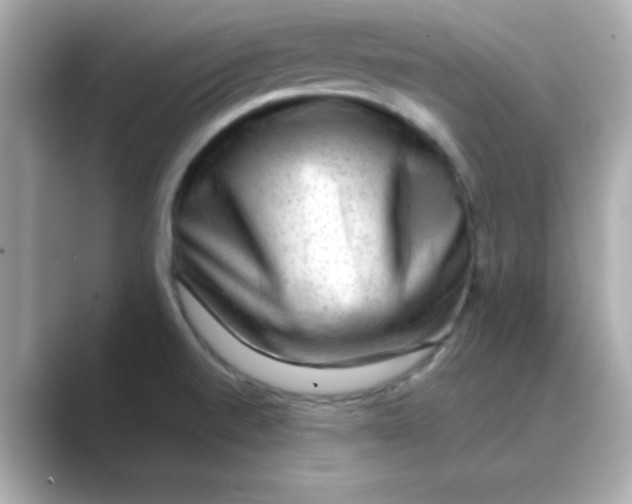 X0000088671520200706211842