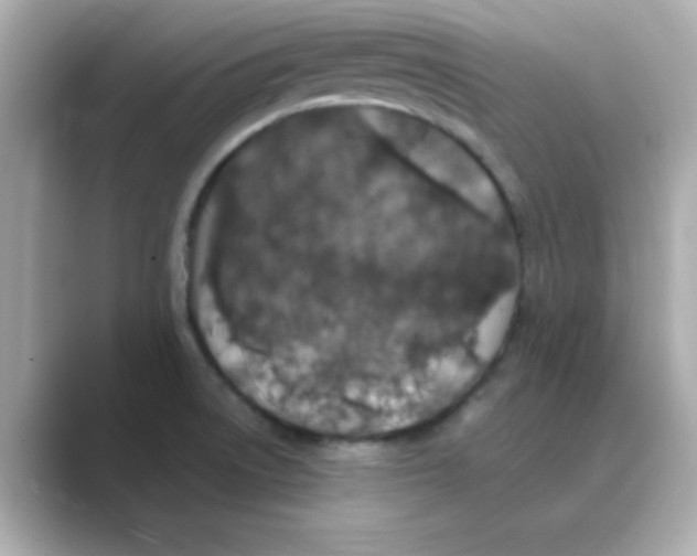 X0000088671522200706211842