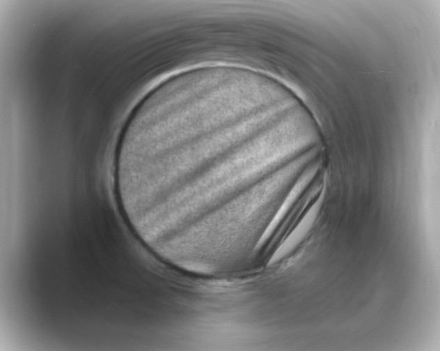 X0000088671523200706211842
