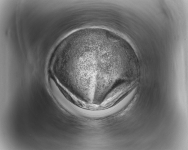 X0000088671525200706211842