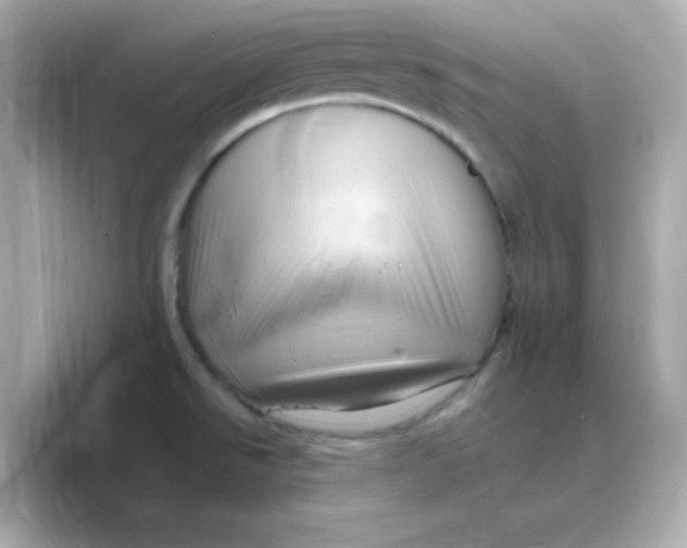 X0000088671526200706211842