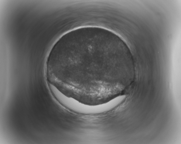 X0000088671527200706211842