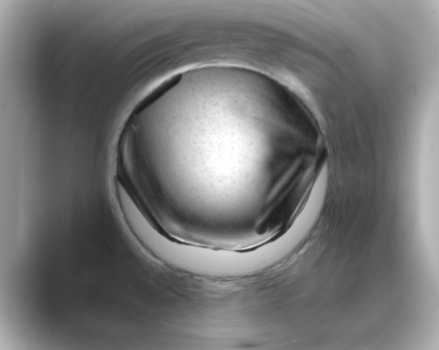 X0000088671528200706211842