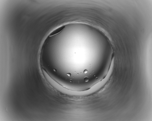 X0000088671530200706211842