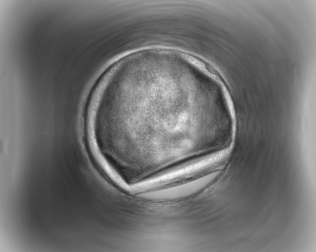 X0000088671531200706211842