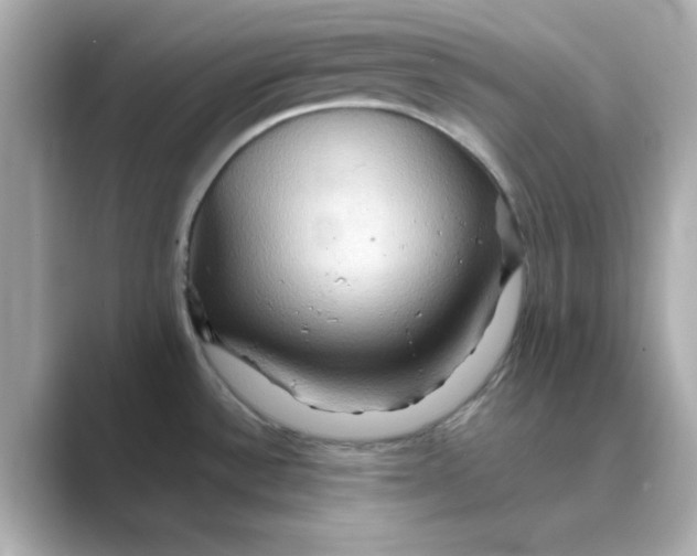 X0000088671532200706211842