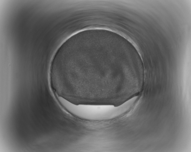X0000088671533200706211842
