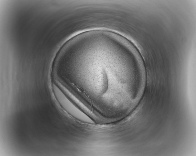 X0000088671534200706211842