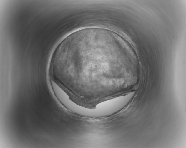 X0000088671536200706211842