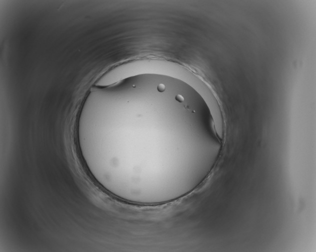 X0000088670001200706281931