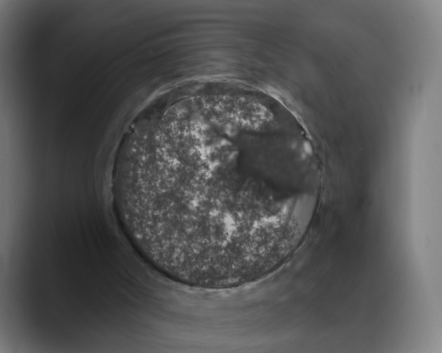 X0000088670002200706281931