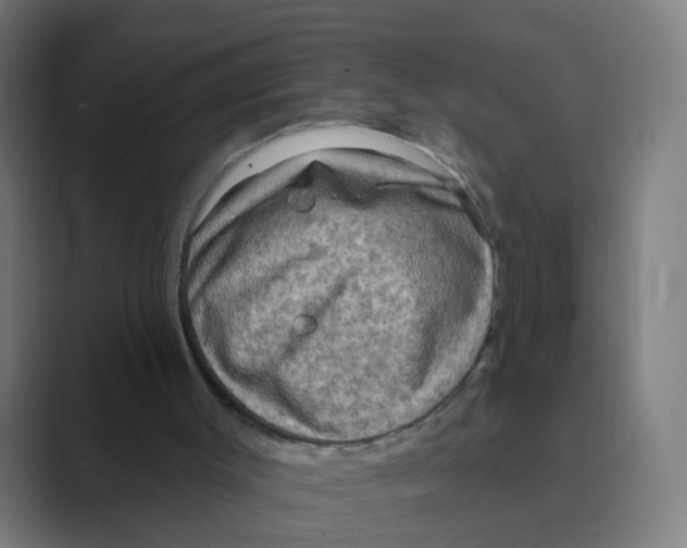 X0000088670003200706281931