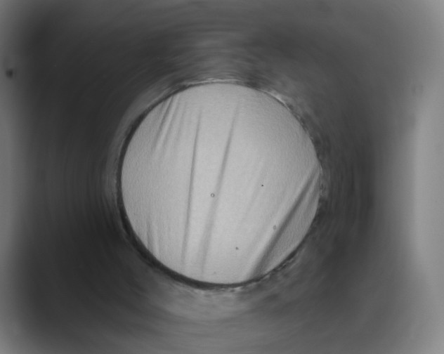 X0000088670004200706281931