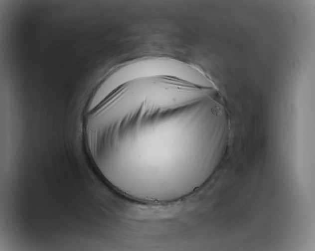 X0000088670005200706281931