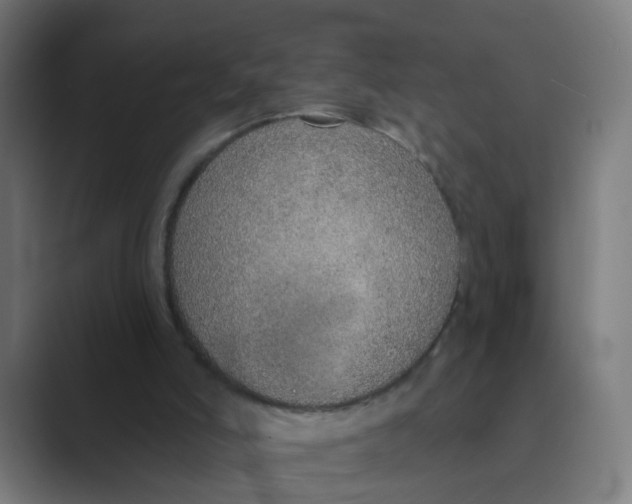 X0000088670006200706281931