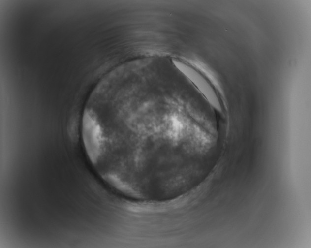 X0000088670009200706281931