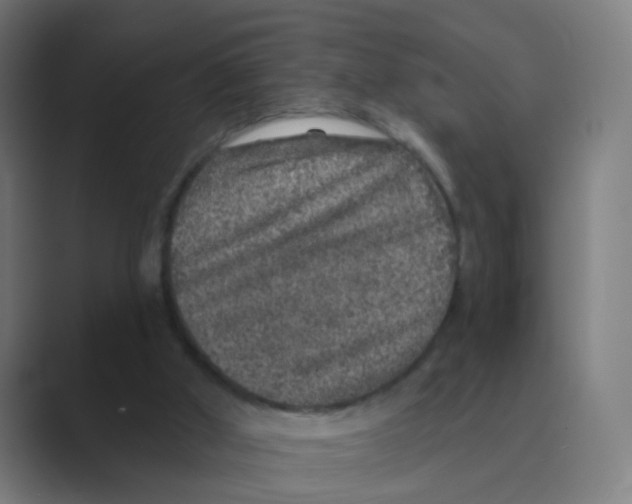 X0000088670010200706281931